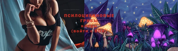 бошки Саяногорск