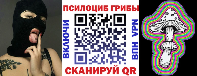 Псилоцибиновые грибы Cubensis  хочу наркоту  кракен онион  Ессентукская 