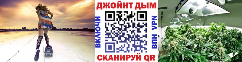 Конопля конопля Ессентукская